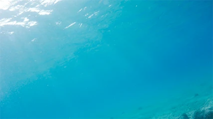 Blue sea underwater with rays of light from the sun beaming down